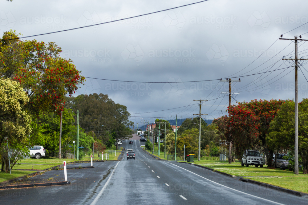 Bulahdelah street on overcast day after rain in spring with bottle brush trees in flower - Australian Stock Image