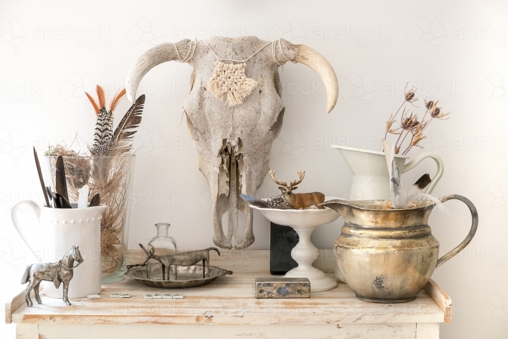 Bull Skull on the wall above a dresser top of collected natural objects - Australian Stock Image