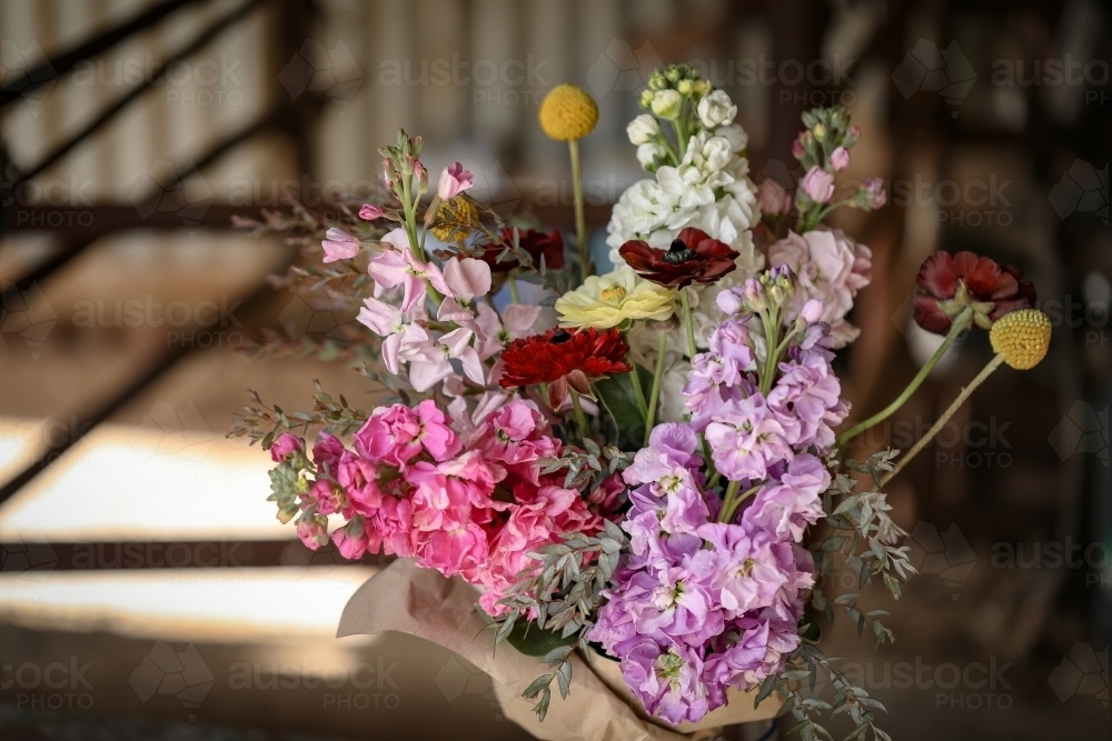 Bunch of cottage cut flowers in rustic country setting - Australian Stock Image