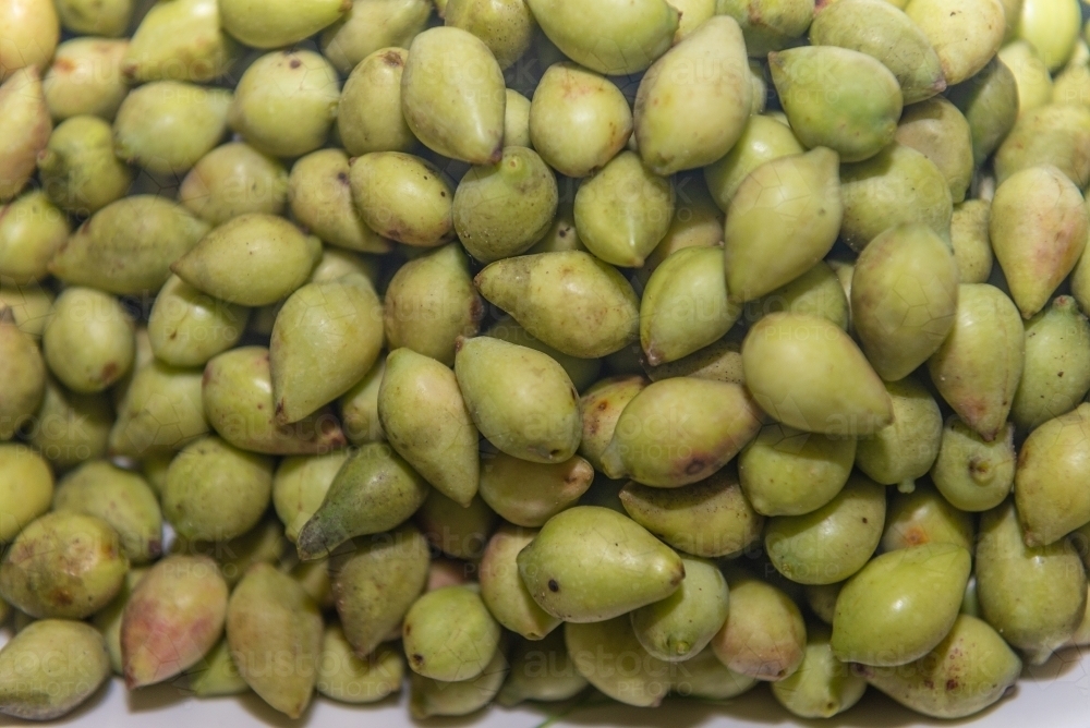 Bunch of Kakadu Plums - Australian Stock Image