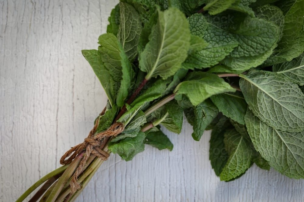 Bunch of lush mint herb leaves tied with string on white wood grain background - Australian Stock Image