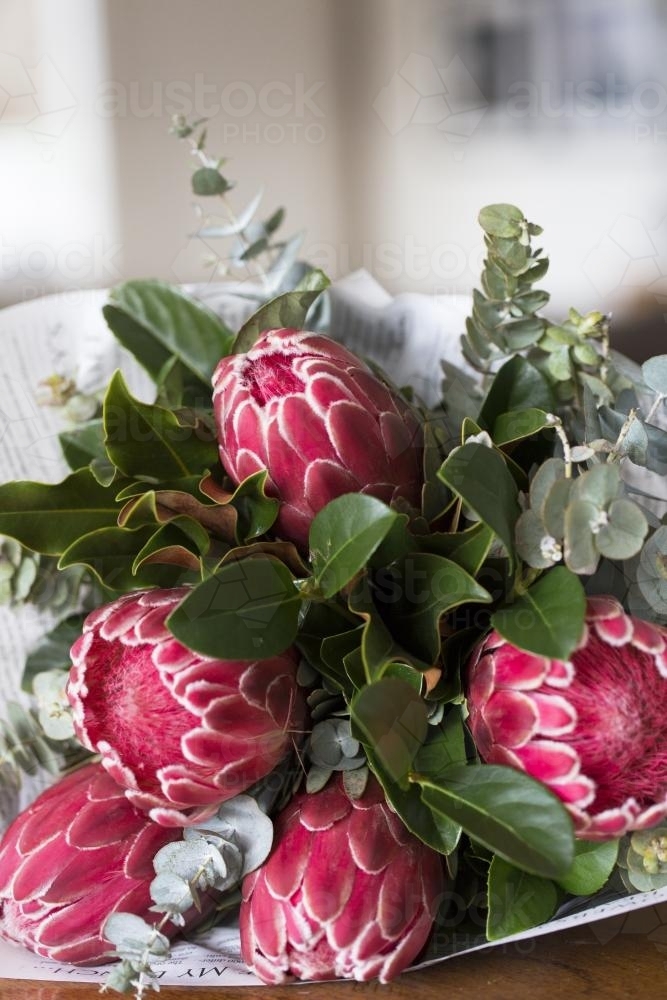Bunch of venus protea and eucalyptus leaves wrapped in paper - Australian Stock Image