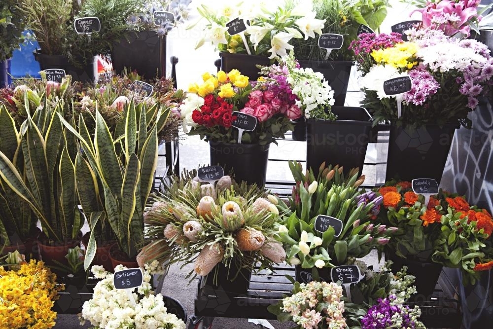 Bunches of colourful flowers and plants for sale in the street - Australian Stock Image