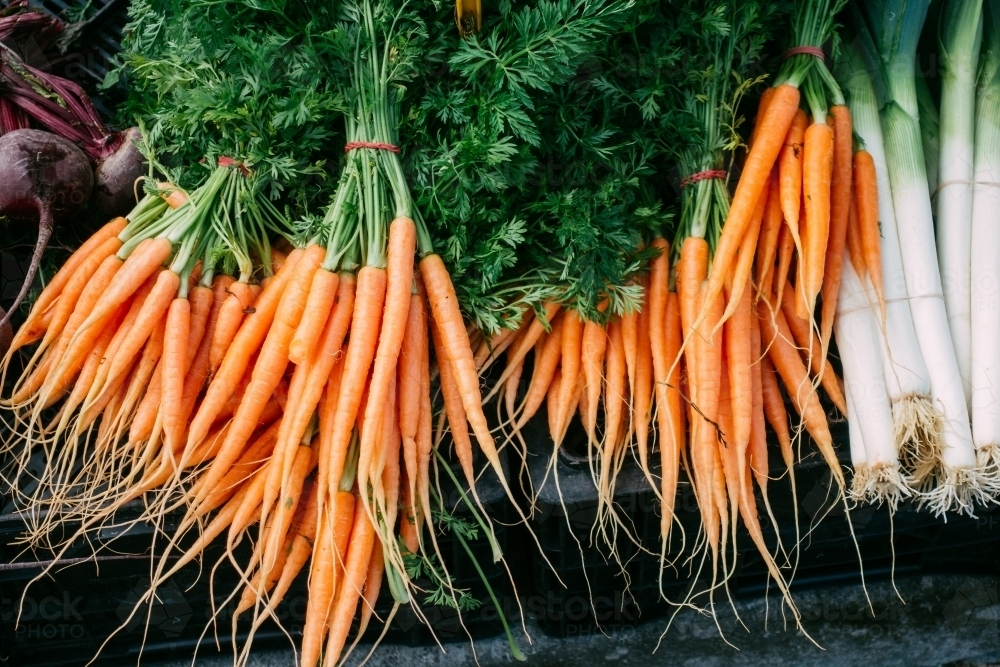 Bunches of fresh baby carrot for sale on the market. - Australian Stock Image