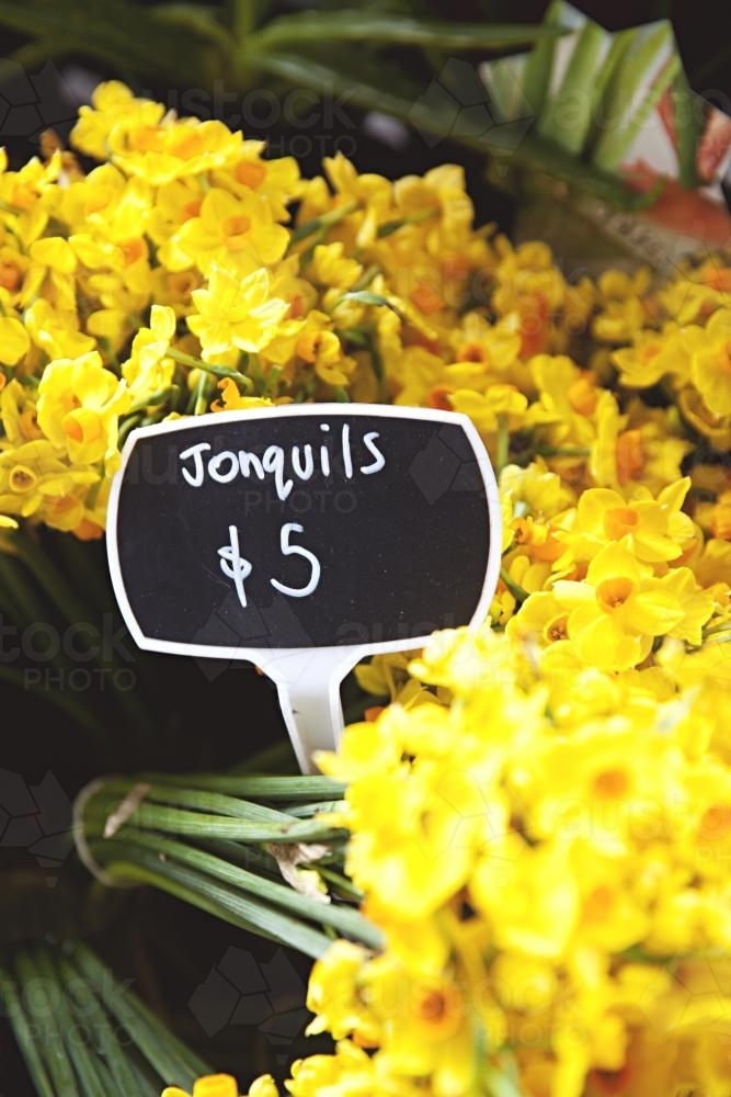 Bunches of yellow jonquils for sale - Australian Stock Image