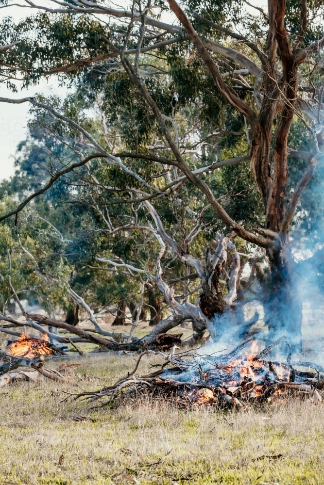 Burning off - Australian Stock Image