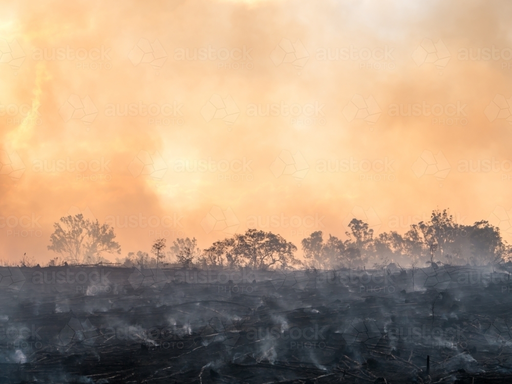 Burnt grasslands and trees with billowing orange smoke - Australian Stock Image