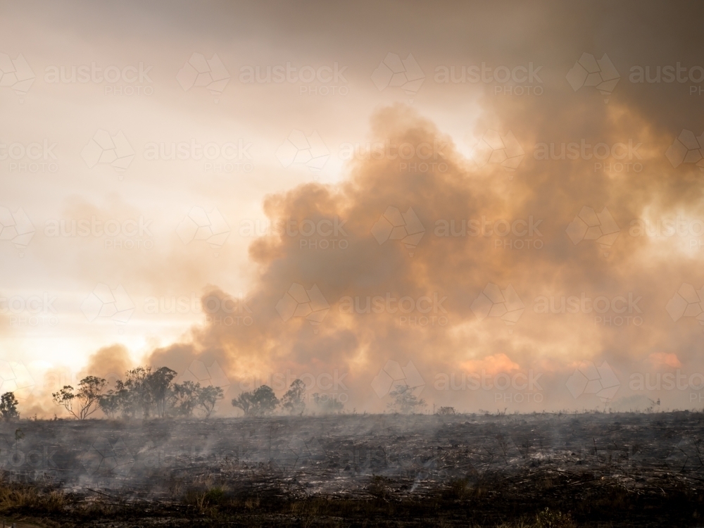 Burnt landscape with billowing brown orange smoke - Australian Stock Image