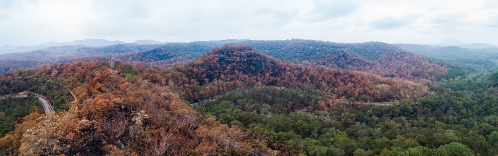 Burnt trees along ridgeline of hills in putty area, sky filled with smoke haze - Australian Stock Image