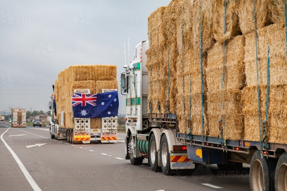 Burrumbuttock Hay Runners going through Singleton on their way to assist farmers - Australian Stock Image