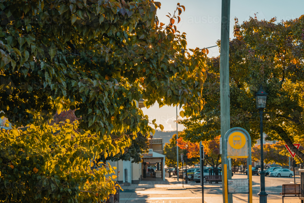 Bus stop in small town of Mudgee on sunny Autumn afternoon - Australian Stock Image