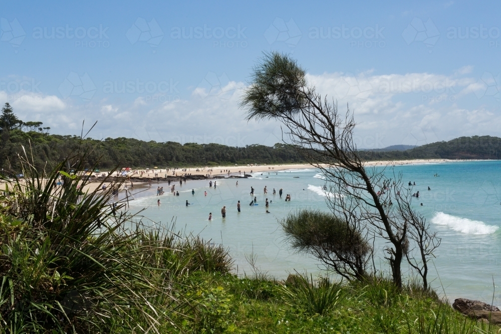 Bush and crowds on the south coast during summer holidays - Australian Stock Image