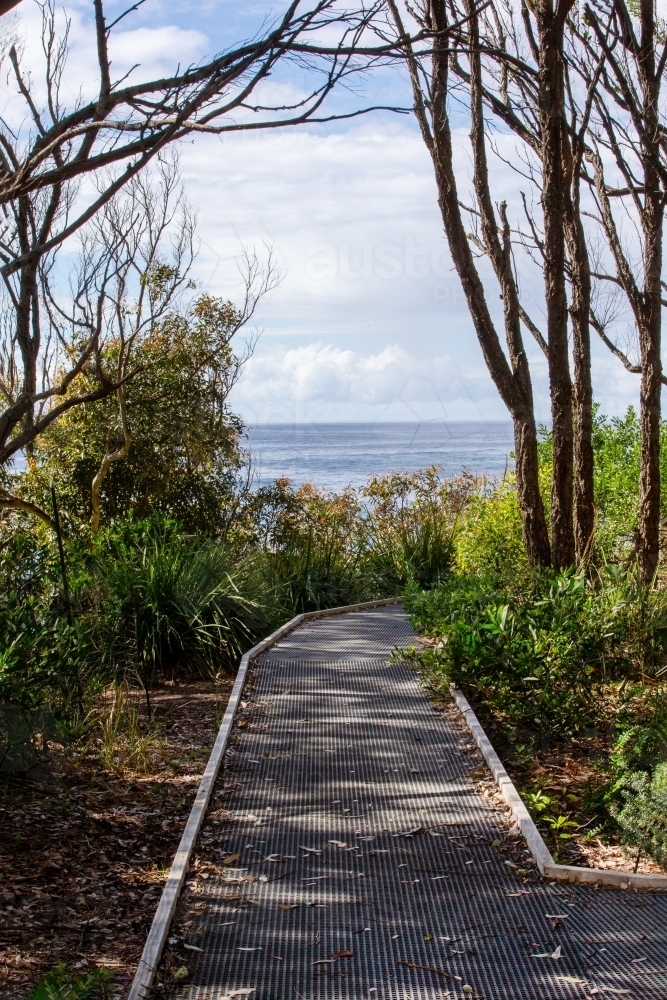 Bush boardwalk opening to ocean horizon - Australian Stock Image