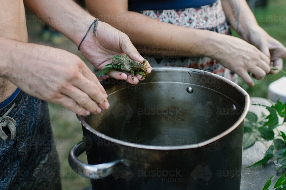 Bush cooking - Australian Stock Image