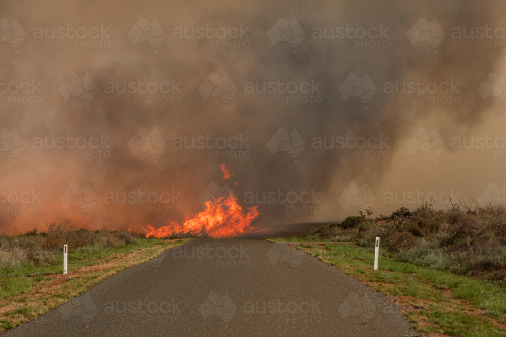 Bush fire crossing over the road, from lightening strike, in dust and thunderstorm - Australian Stock Image