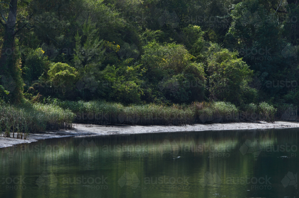Bush on river bank reflecting in still water - Australian Stock Image