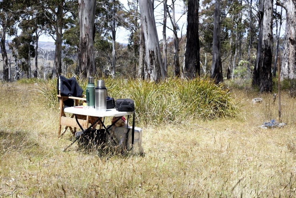 Bush picnic - Australian Stock Image