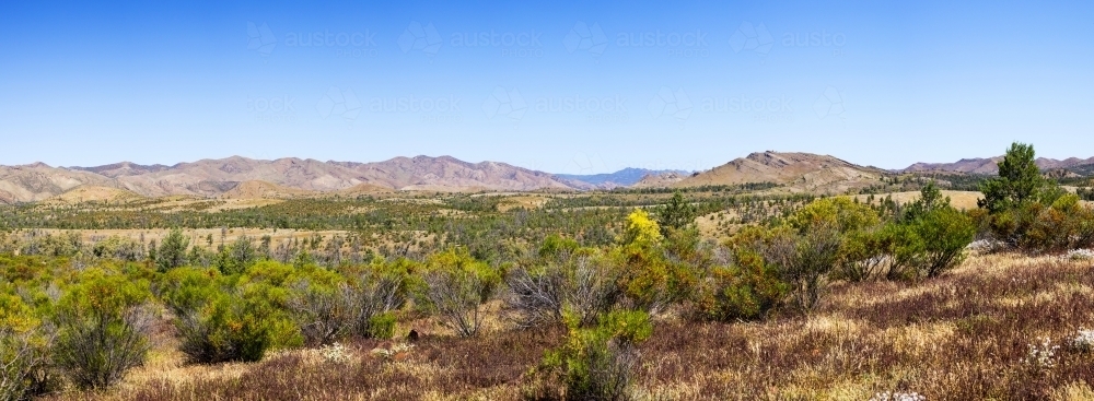 Bushes with range of hills in background and blue sky - Australian Stock Image