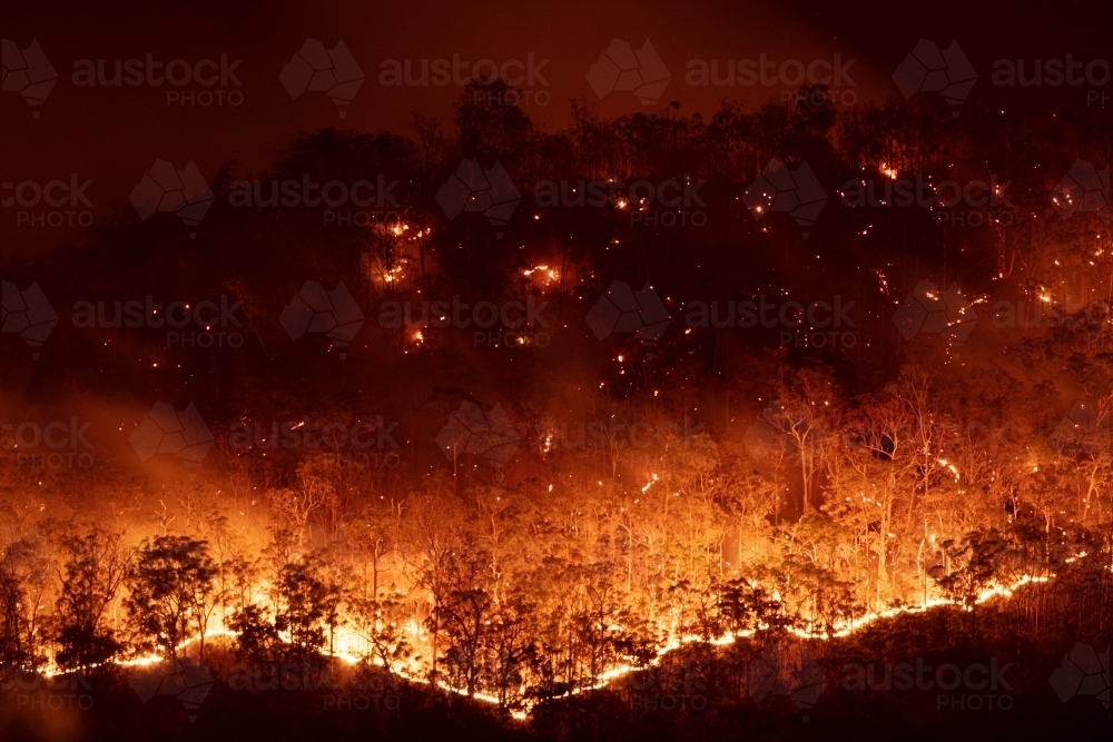 Bushfire at Night - Australian Stock Image