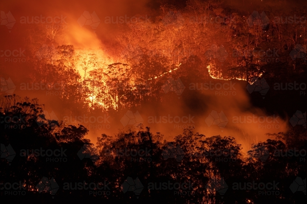 Bushfire at Night - Australian Stock Image