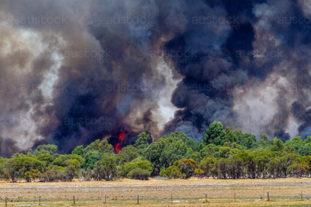 Bushfire with thick black smoke and tall flames - Australian Stock Image
