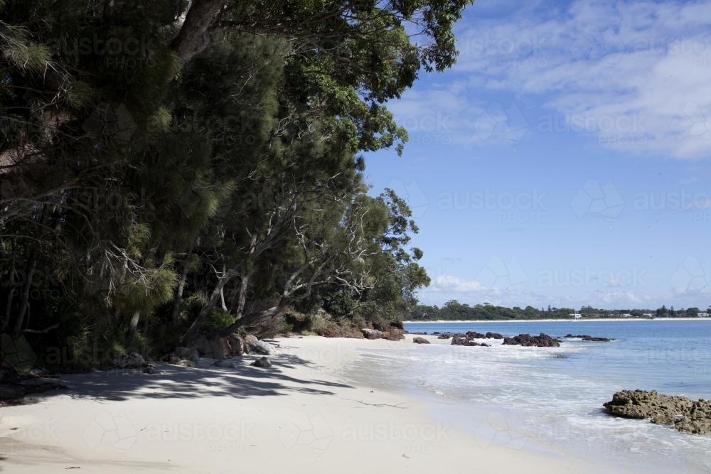 Bushland next to an empty beach. - Australian Stock Image