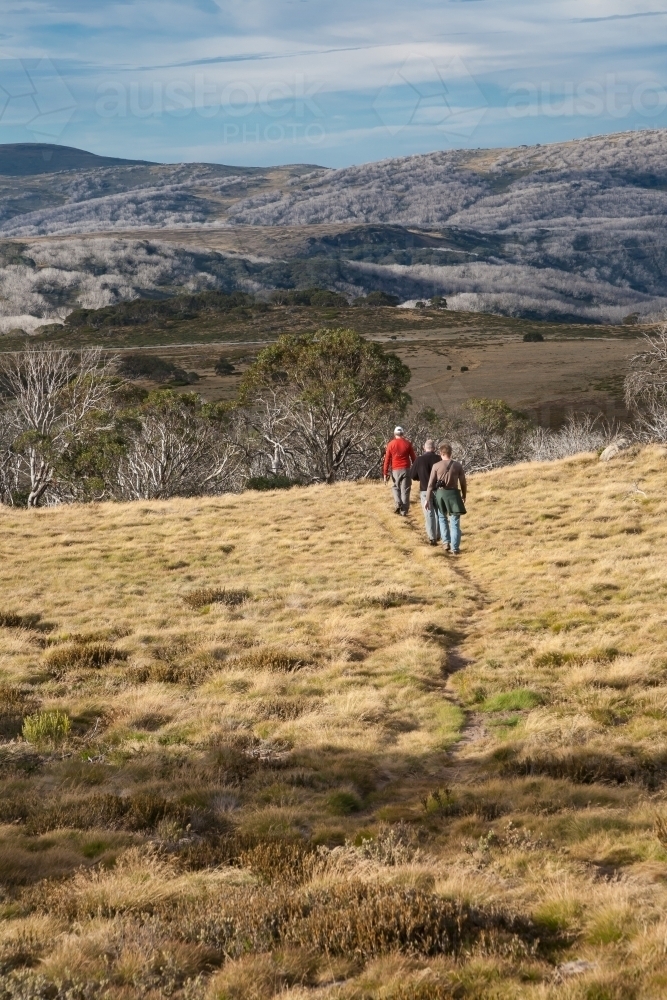 Bushwalkers walking into the distance across grassy terrain in the mountains - Australian Stock Image