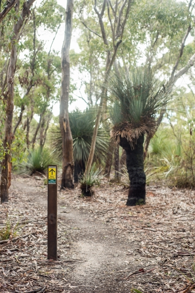 Bushwalking trail - Australian Stock Image