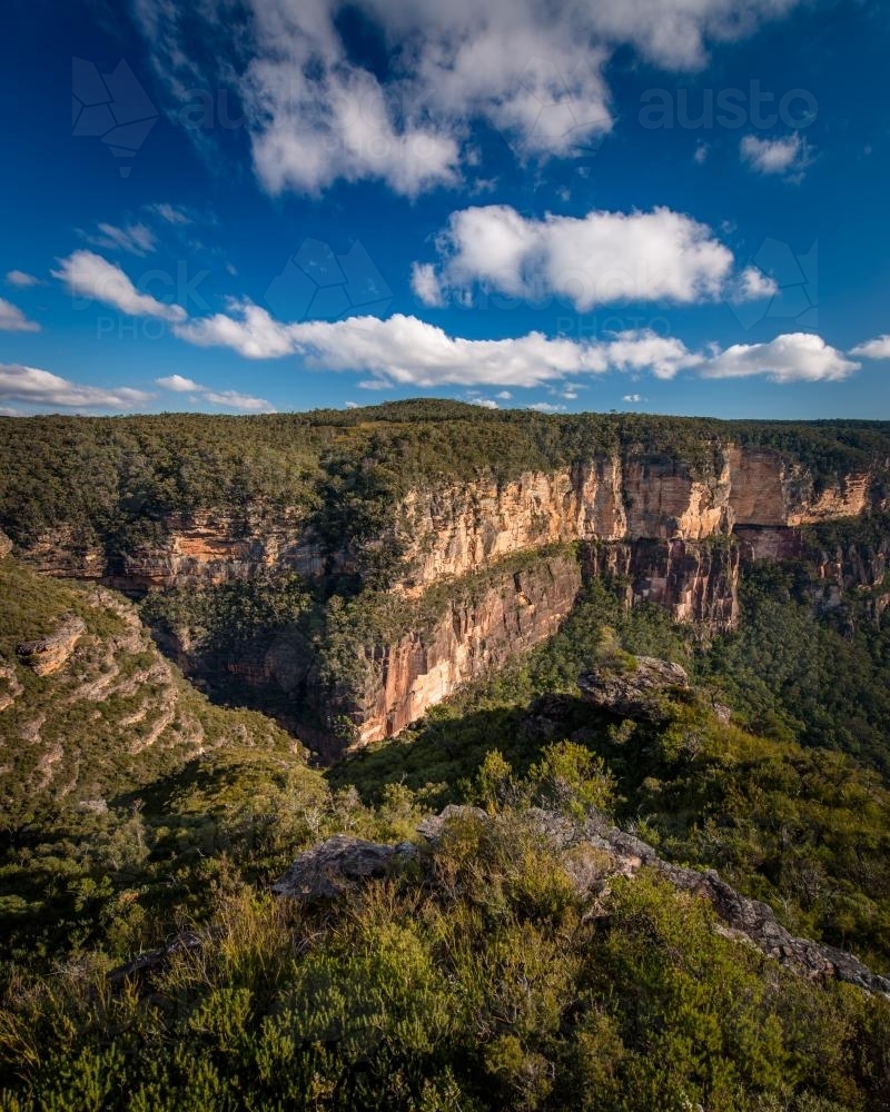 Butter box canyon near Mt Hay in the Blue Mountains National Park - Australian Stock Image