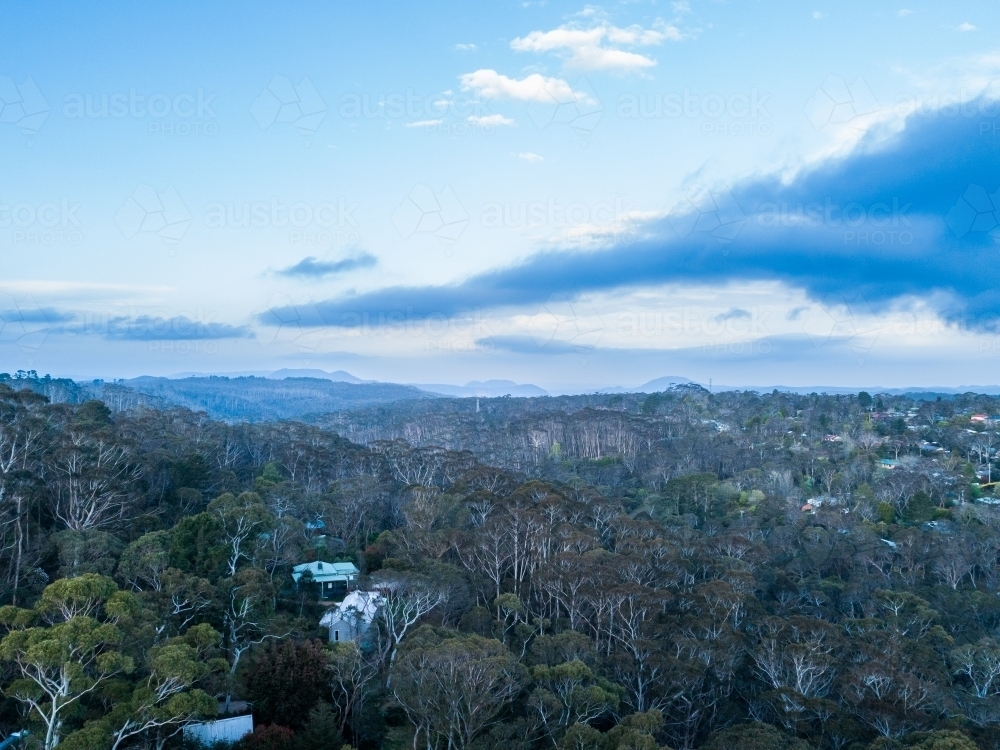 cabin in eucalyptus forest in Blue Mountains at evening - Australian Stock Image