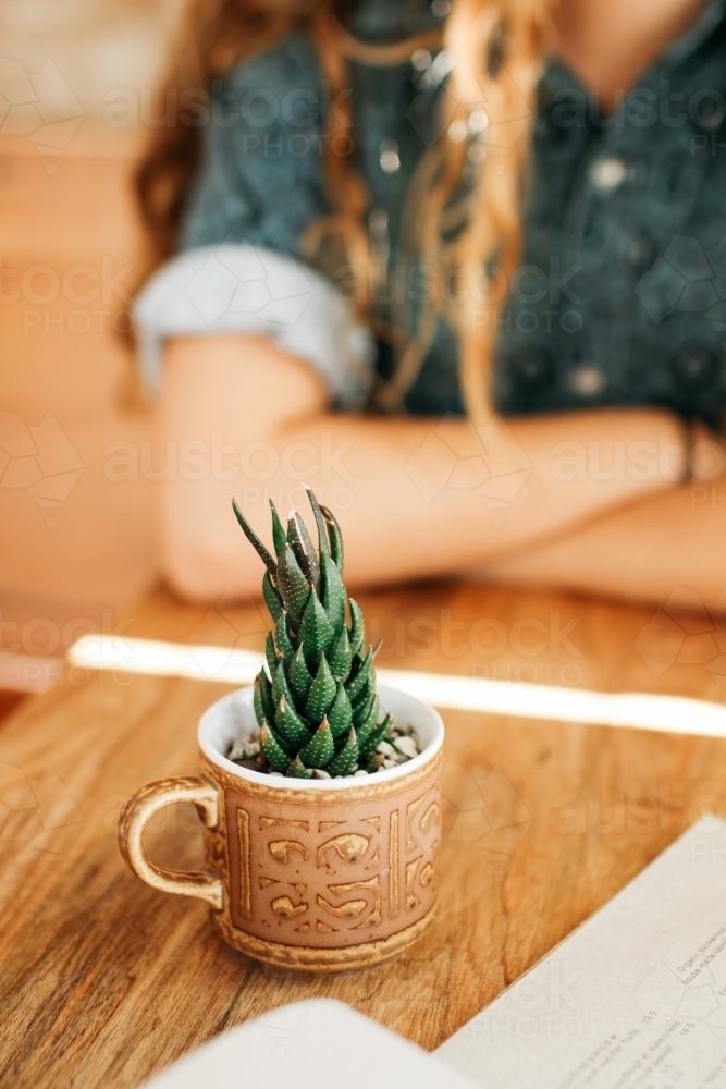 Cacti Coffee Cup Decor - Australian Stock Image