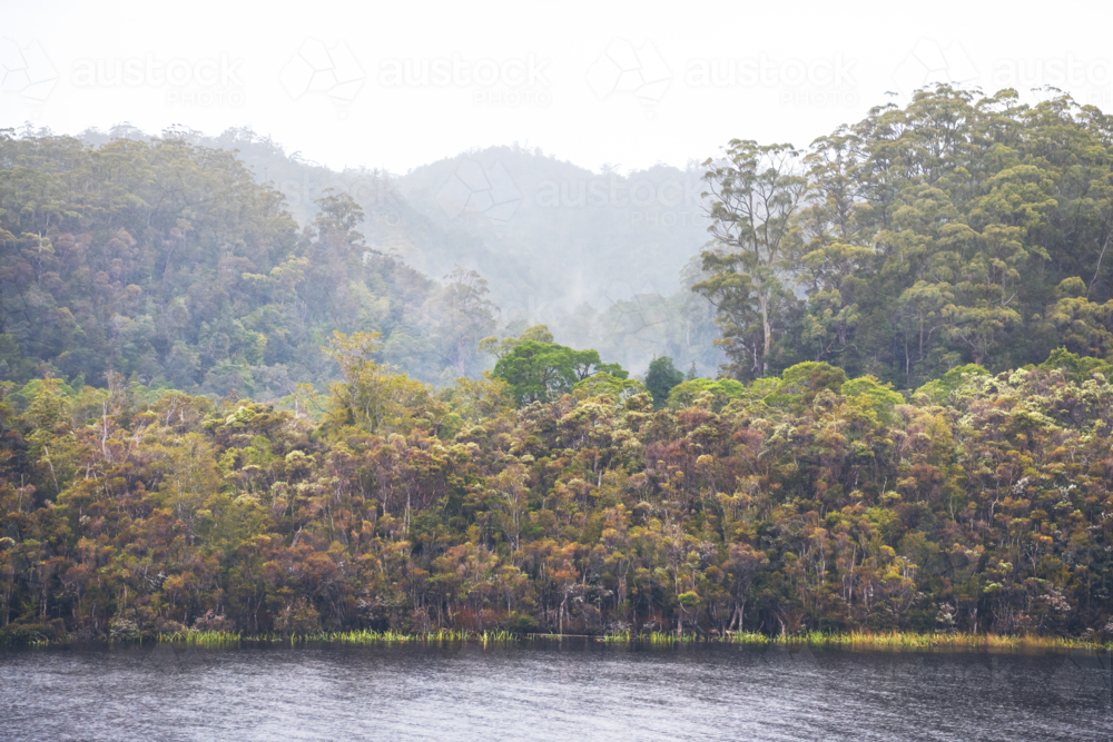Calm waters with forest in the background on the Gordon River, Tasmania - Australian Stock Image