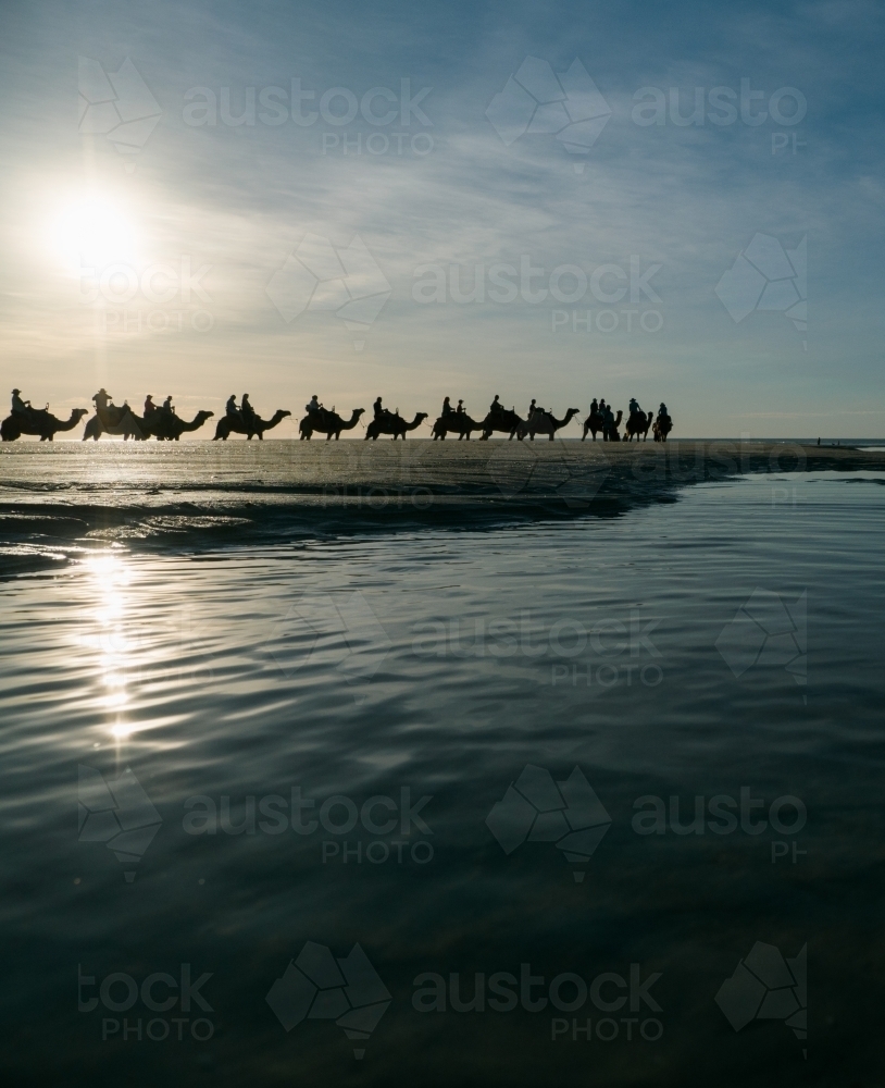 Camel Train on Cable Beach - Australian Stock Image