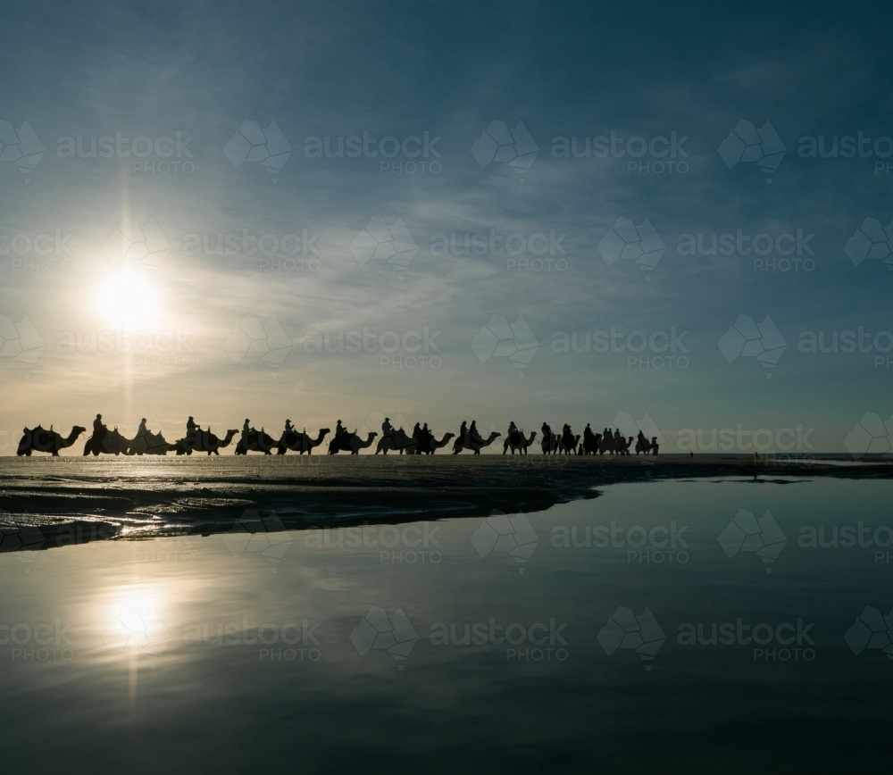 Camel Train on Cable Beach with Setting Sun Overhead - Australian Stock Image
