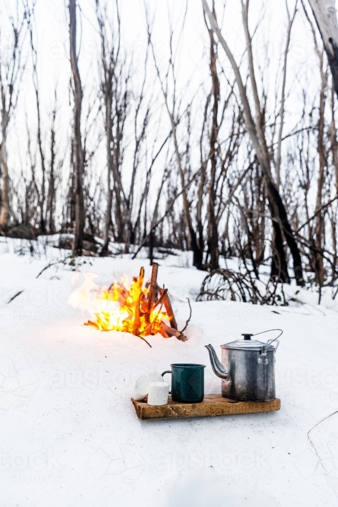 Campfire in a snowy forest - Australian Stock Image