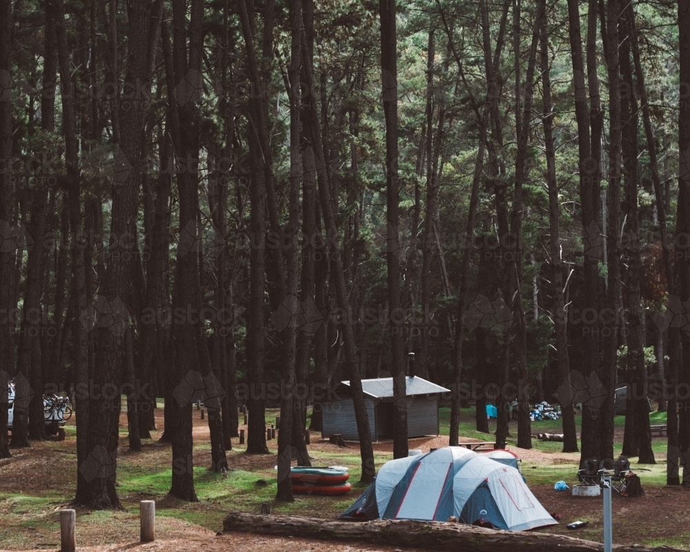 Camping in a forest - Australian Stock Image