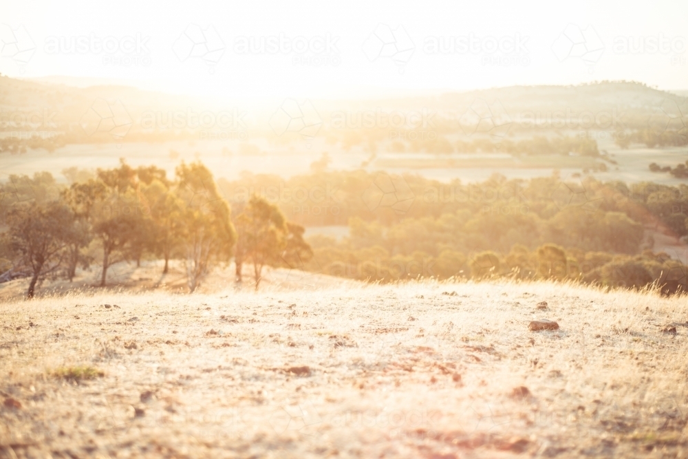 Camping view of grassy slope at sunset - Australian Stock Image