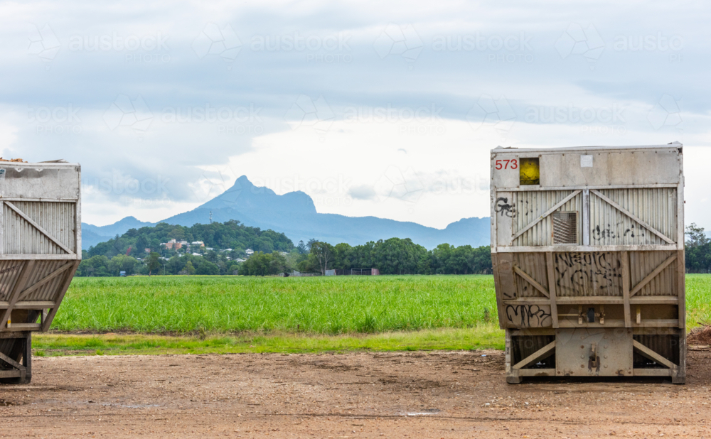 Cane Skips in front of Mount Warning, Wollumbin, near Murwillumbah, new south wales, australia - Australian Stock Image
