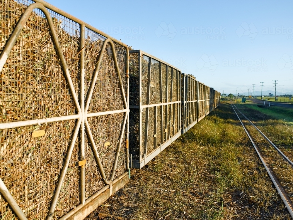 Cane train carriages containing cut sugar cane - Australian Stock Image