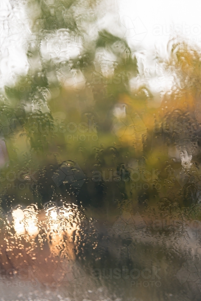 car lights seen through a wet windscreen, with autumn colours - Australian Stock Image