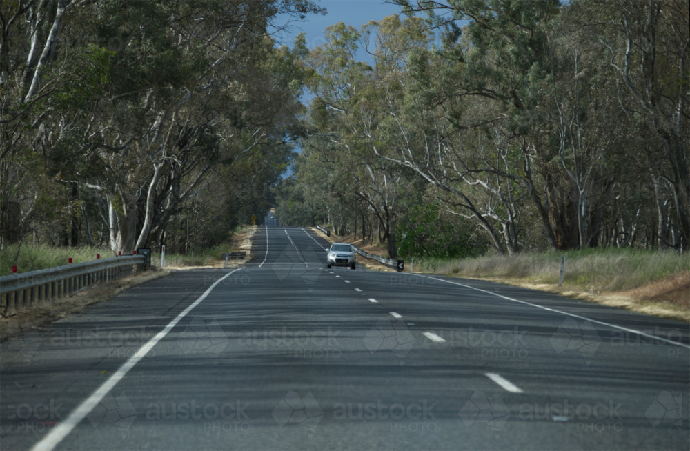 Cars on country road lined with gum trees - Australian Stock Image