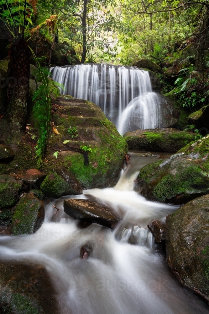 Cascading waterfalls and mountain streams through lush rainforest. - Australian Stock Image