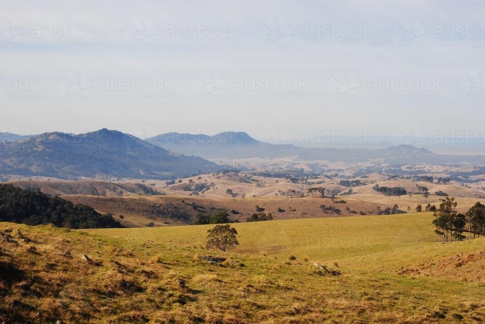Cattle cropped hills and valleys looking out towards Mirannie - Australian Stock Image