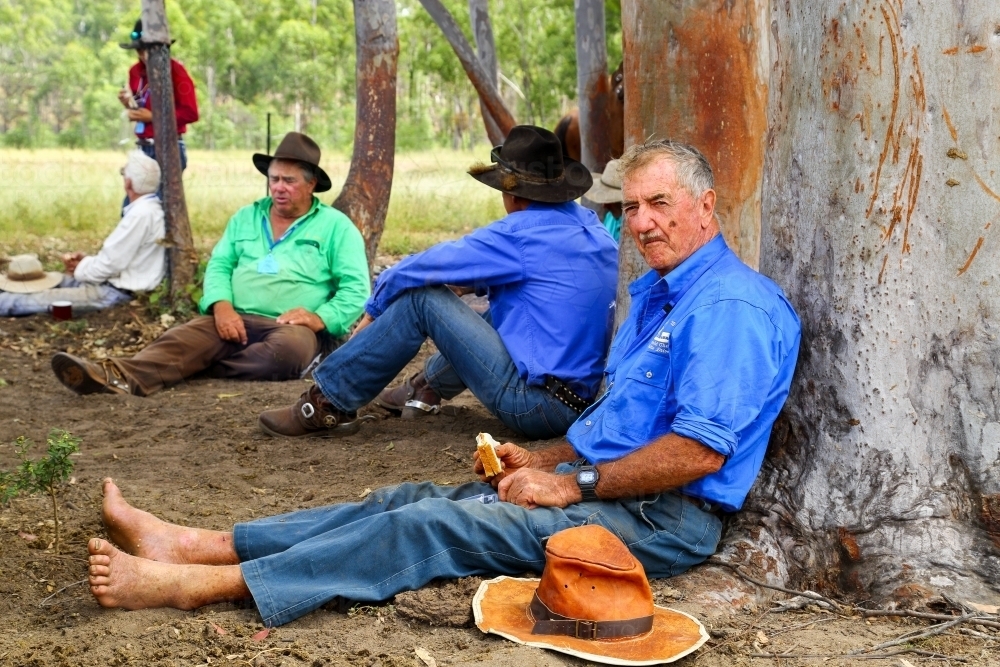 Cattle drovers sitting resting against trees at smoko. - Australian Stock Image