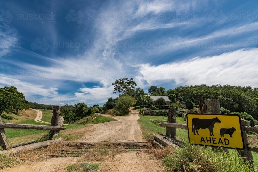 Cattle grate in farmland in the Hunter Valley - Australian Stock Image