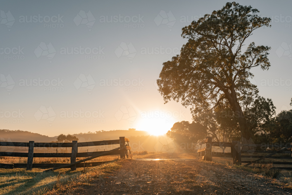 Cattle grid along rural road on farm with sun rising over distant hills at dawn - Australian Stock Image