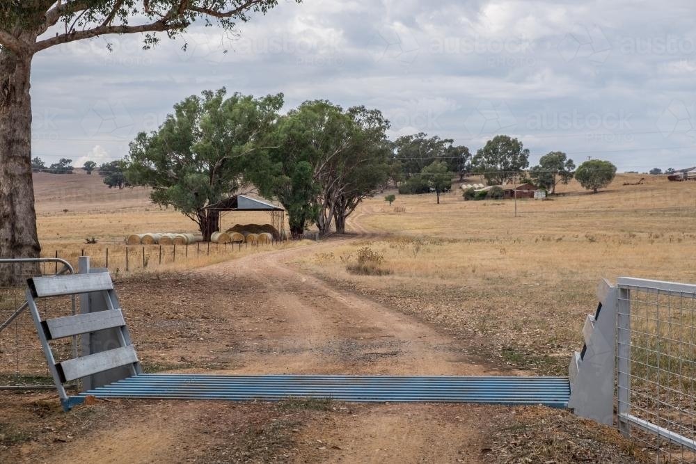 Cattle Grid - Australian Stock Image