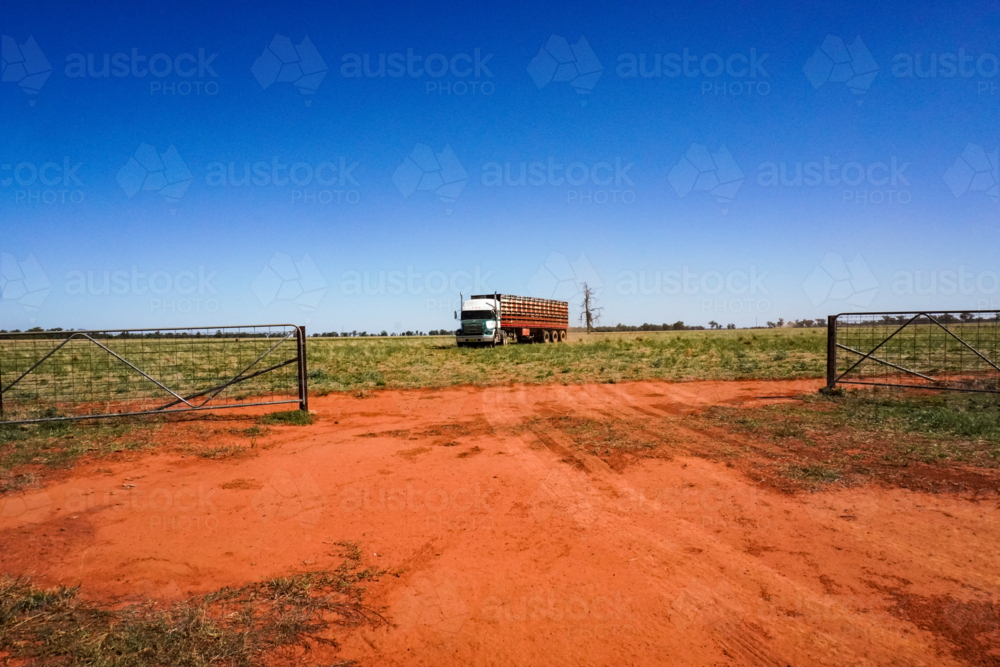 Cattle truck on farm - Australian Stock Image