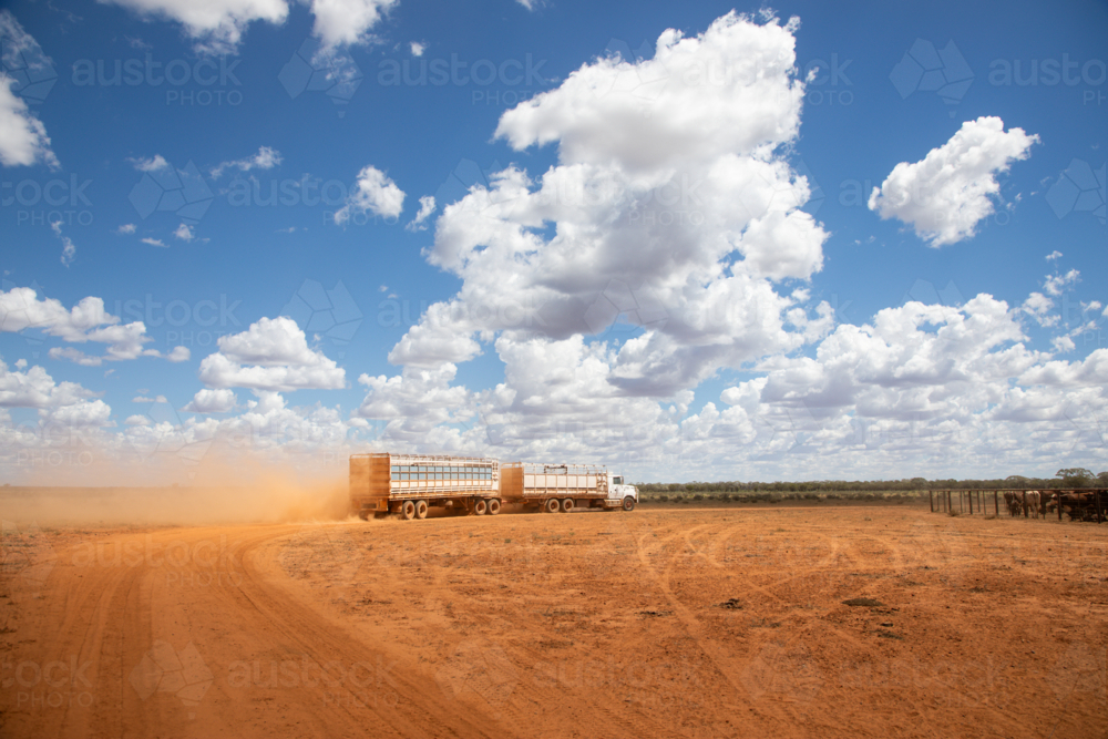 Cattle truck raising dust as it leaves the yards - Australian Stock Image