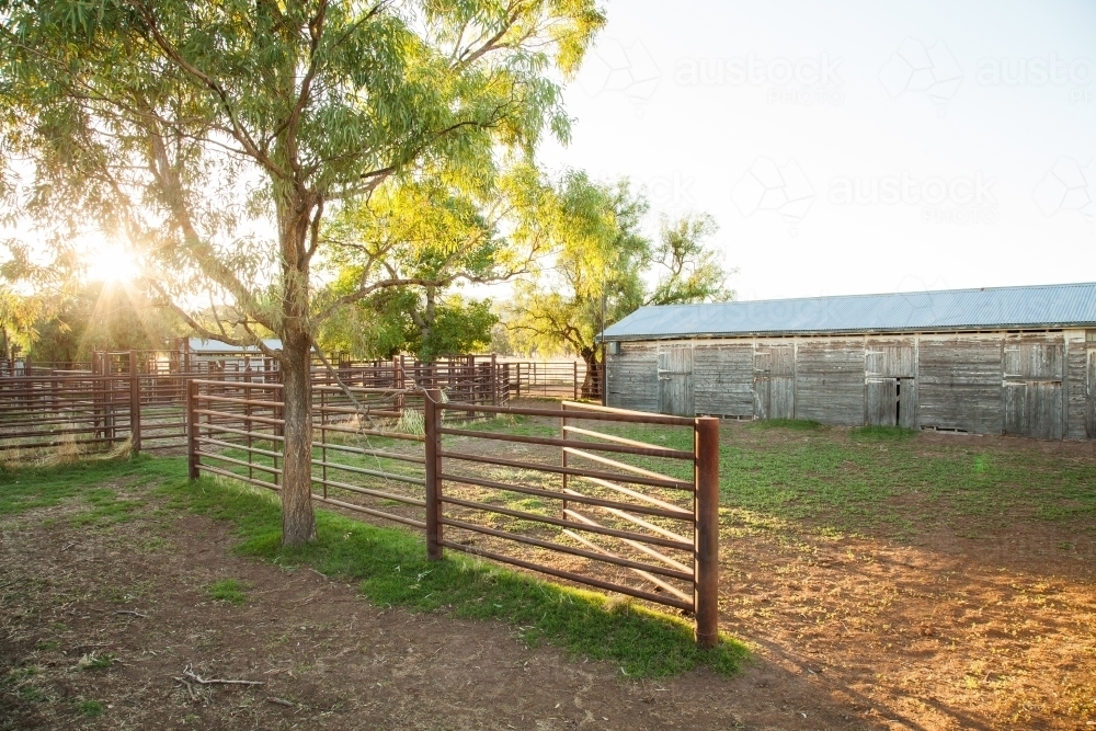 Cattle yards and old stables on a farm in the morning - Australian Stock Image